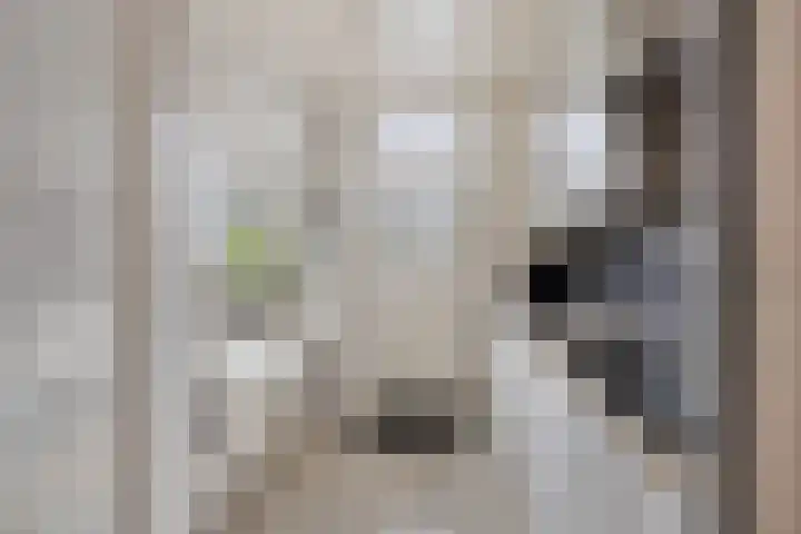 Schurinklaan 43 Eefde thumbnail 12