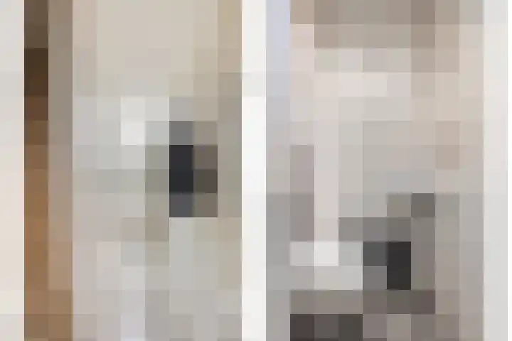 Schurinklaan 43 Eefde thumbnail 13
