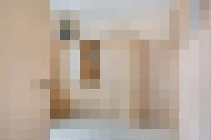 Schurinklaan 43 Eefde thumbnail 17