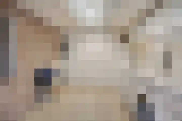 Schurinklaan 43 Eefde thumbnail 37