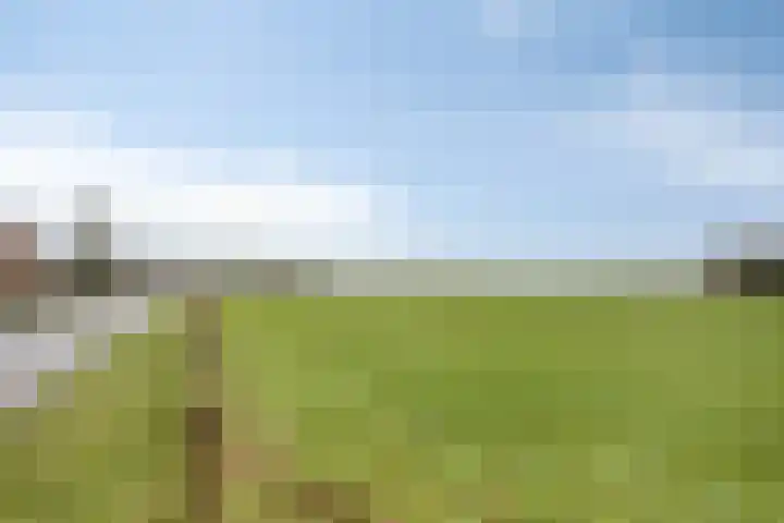 Schurinklaan 43 Eefde thumbnail 44