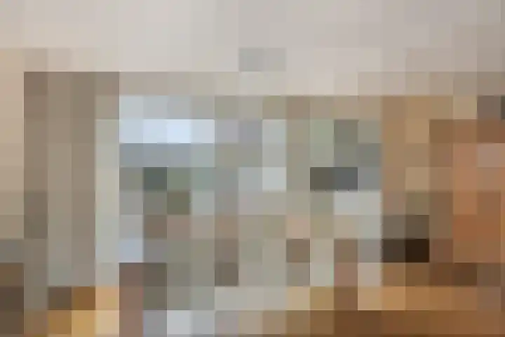 Schurinklaan 43 Eefde thumbnail 5