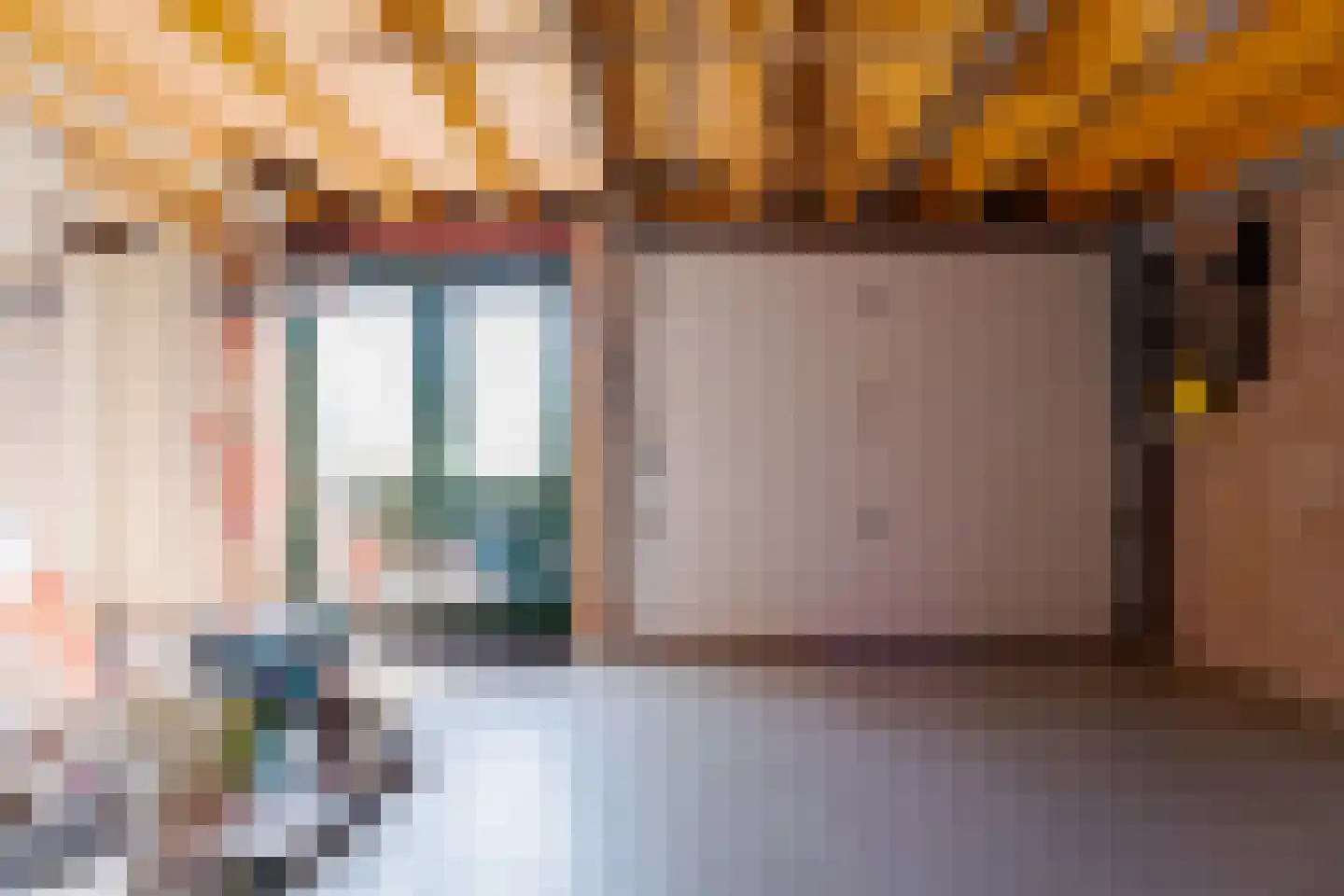 Schurinkstraat 25 Ommen thumbnail 22