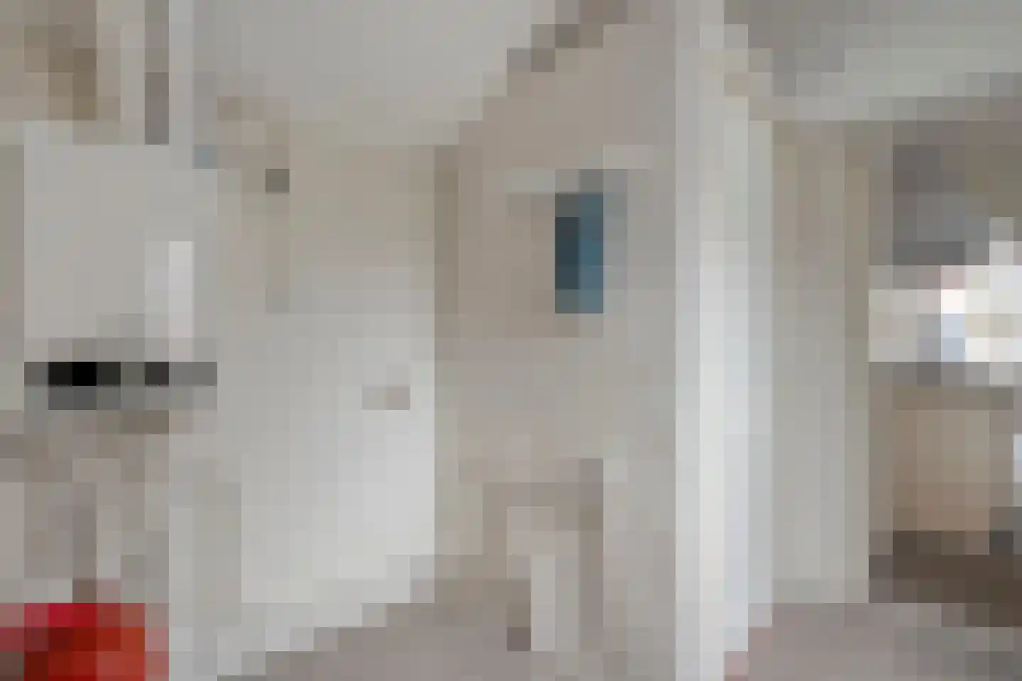 Schurinkstraat 5 Ommen thumbnail 12