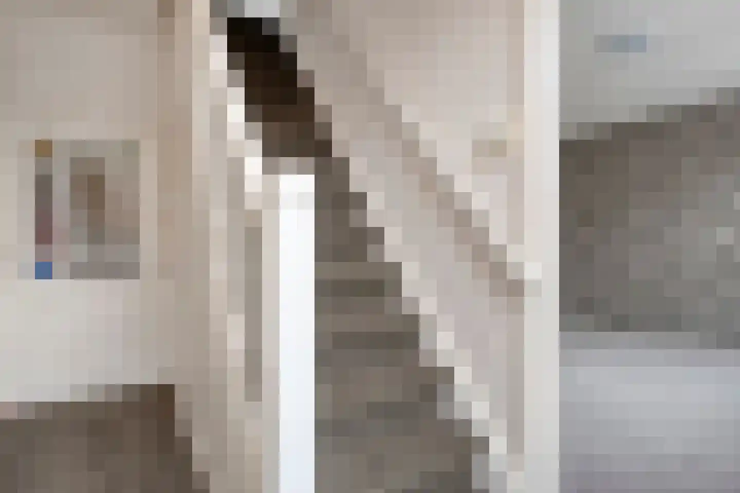 Schurinkstraat 5 Ommen thumbnail 16