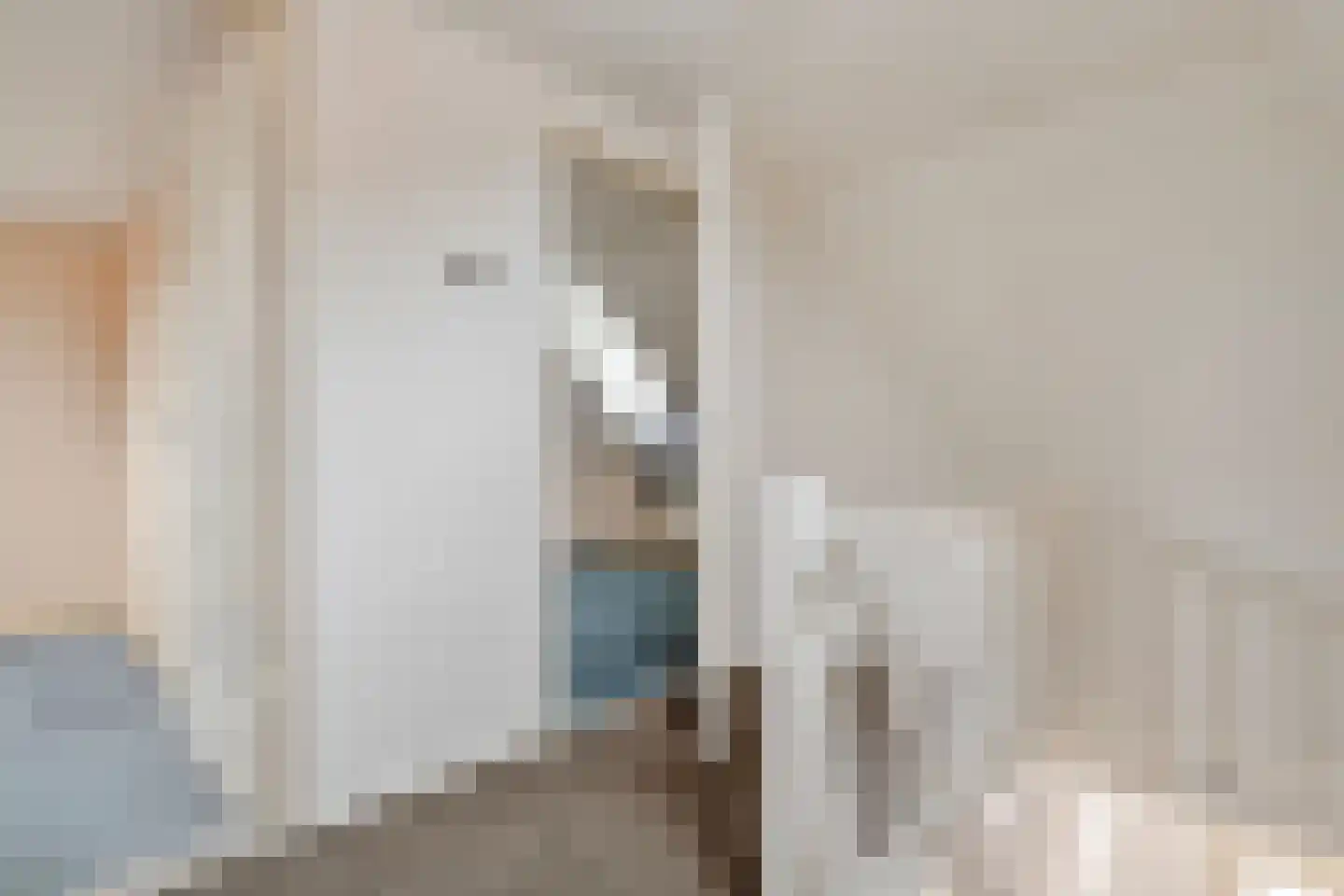 Schurinkstraat 5 Ommen thumbnail 17