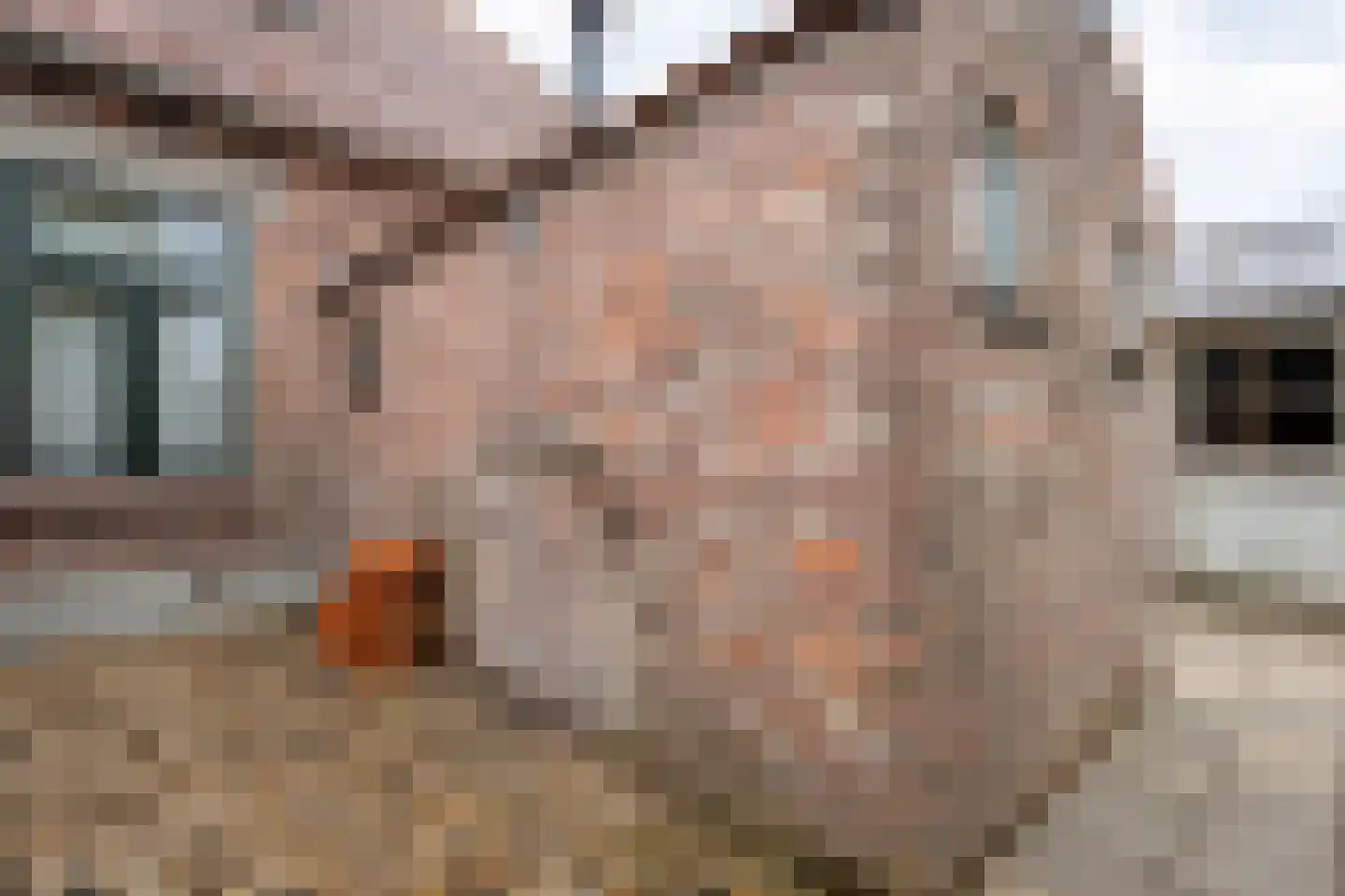 Schurinkstraat 5 Ommen thumbnail 27