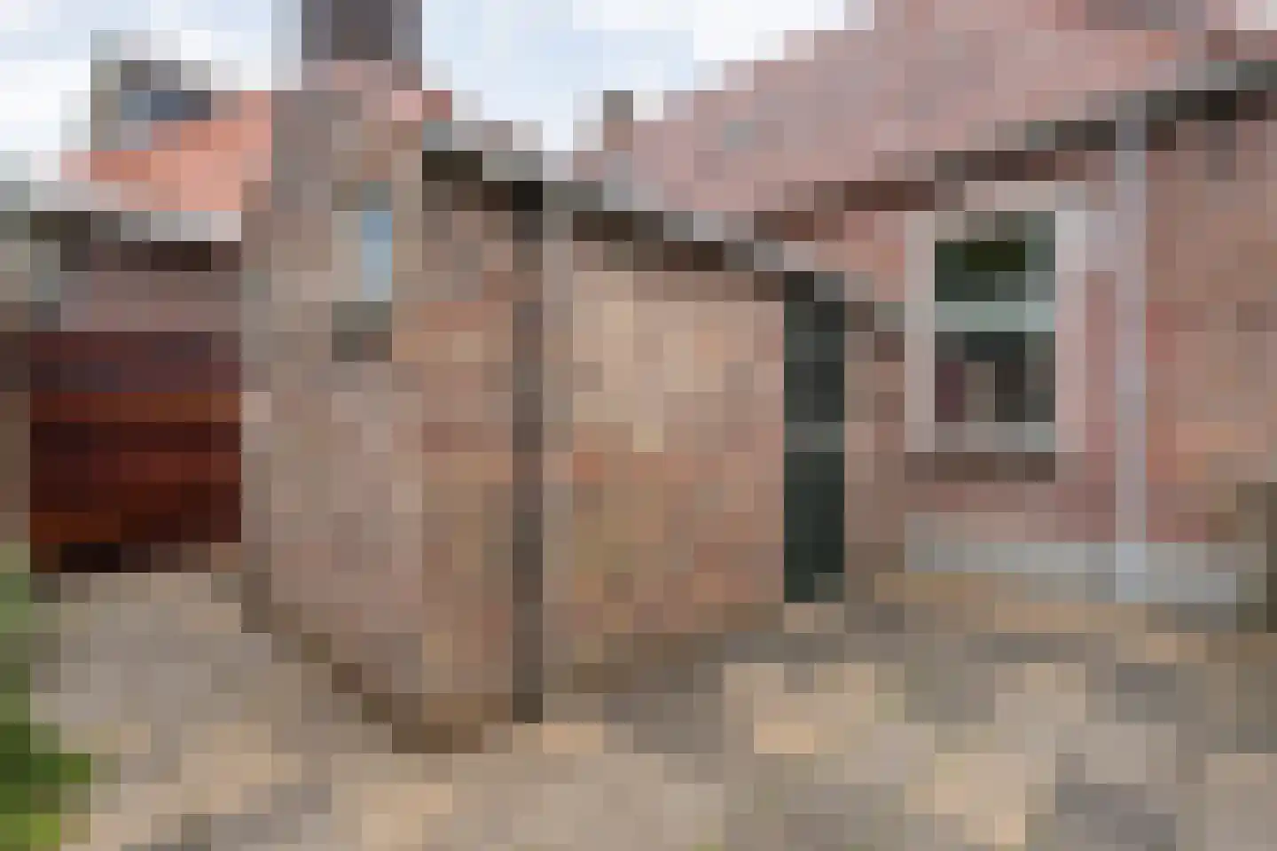 Schurinkstraat 5 Ommen thumbnail 28