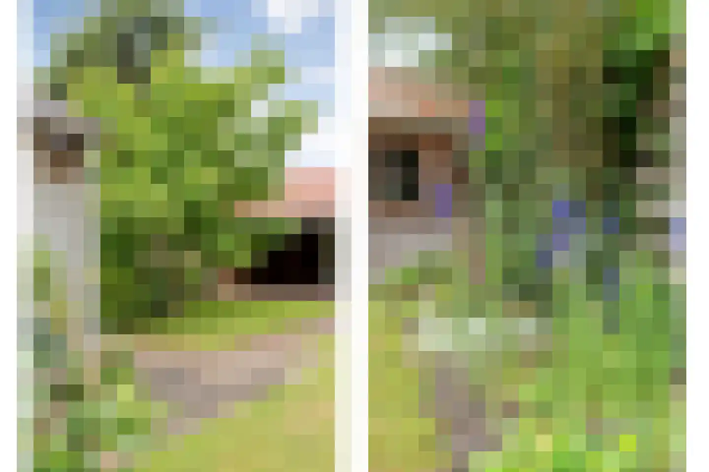 Schurinkstraat 5 Ommen thumbnail 33