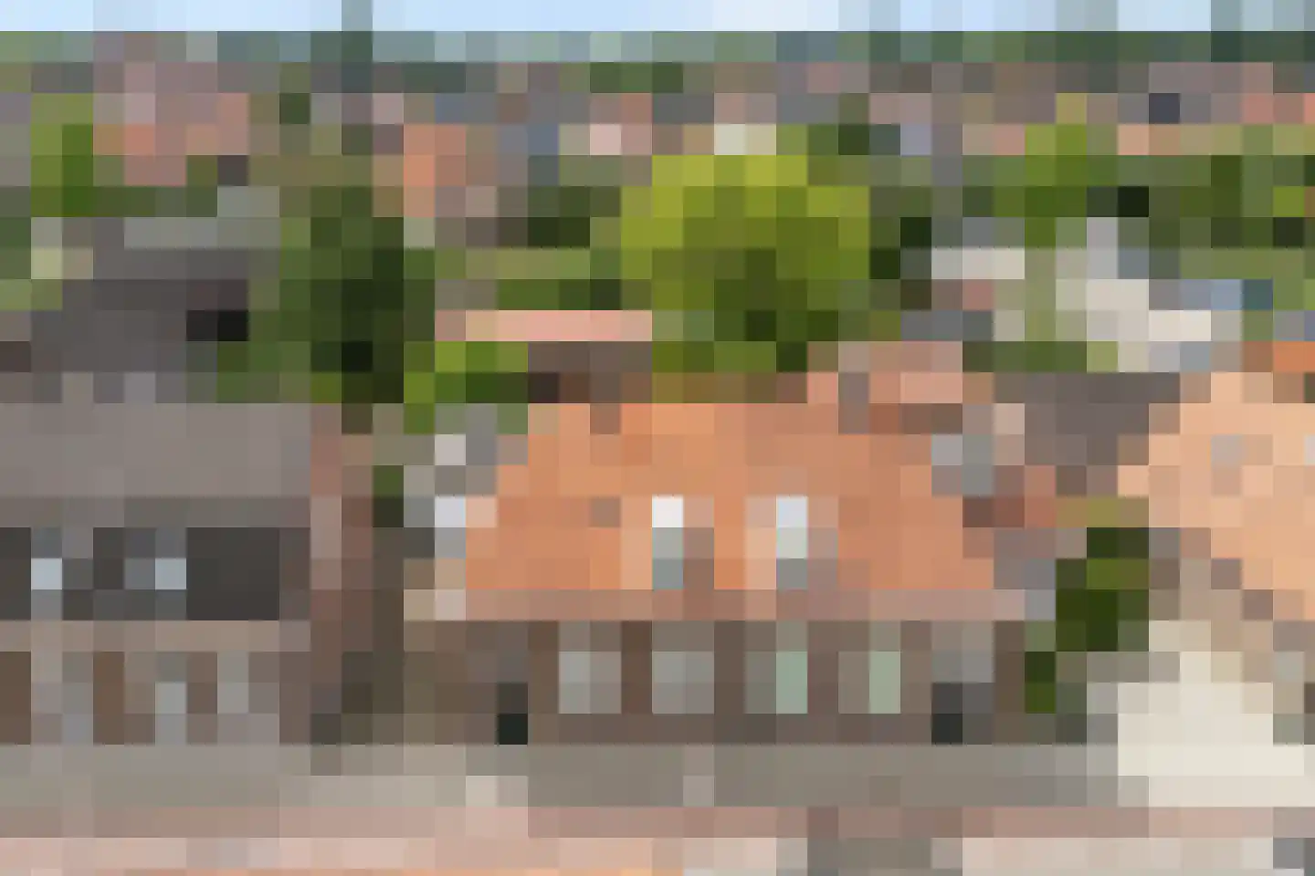 Schurinkstraat 5 Ommen thumbnail 45