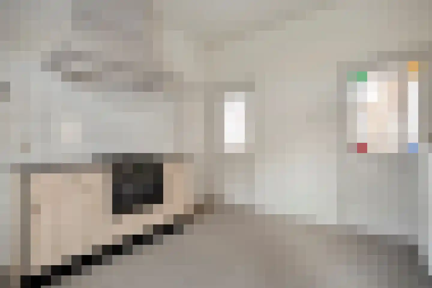 Schurinkstraat 5 Ommen thumbnail 9