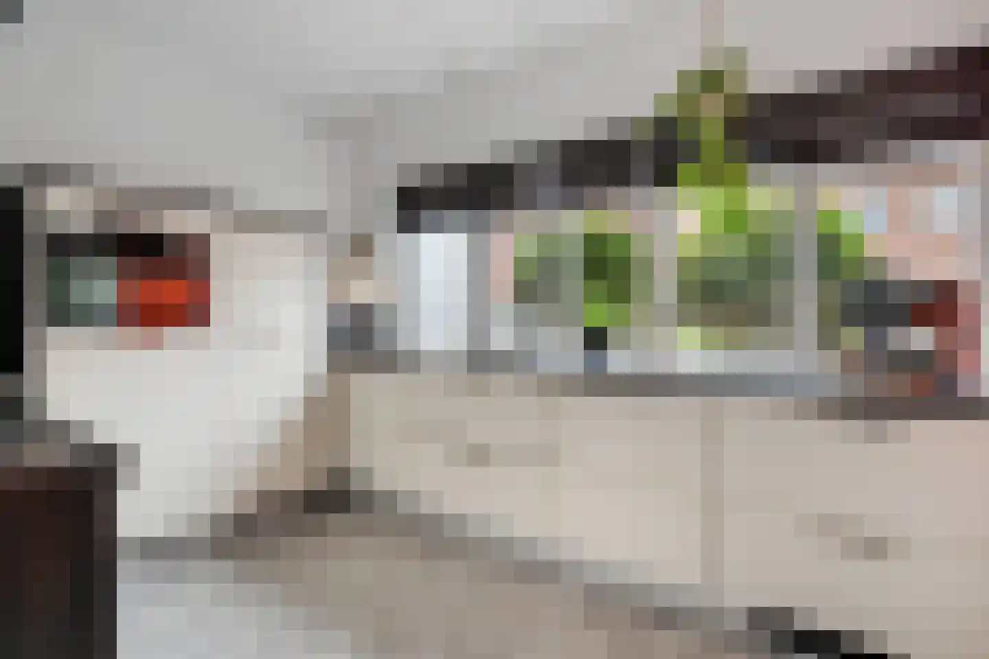 Schurinksweg 17 Enschede thumbnail 14