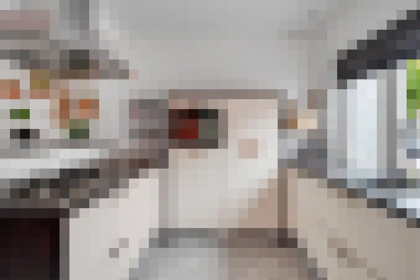 Schurinksweg 17 Enschede thumbnail 16