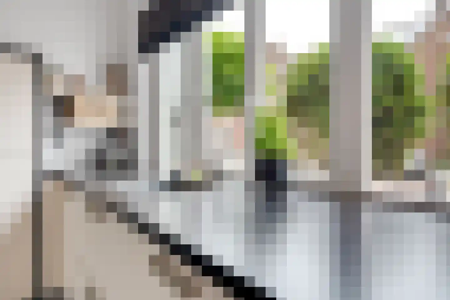 Schurinksweg 17 Enschede thumbnail 18