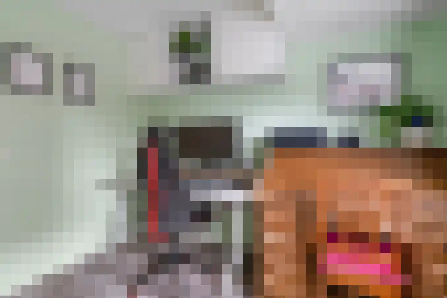 Schurinksweg 17 Enschede thumbnail 22