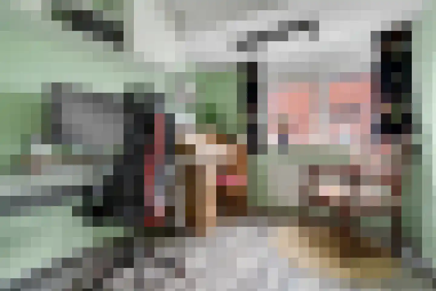 Schurinksweg 17 Enschede thumbnail 23