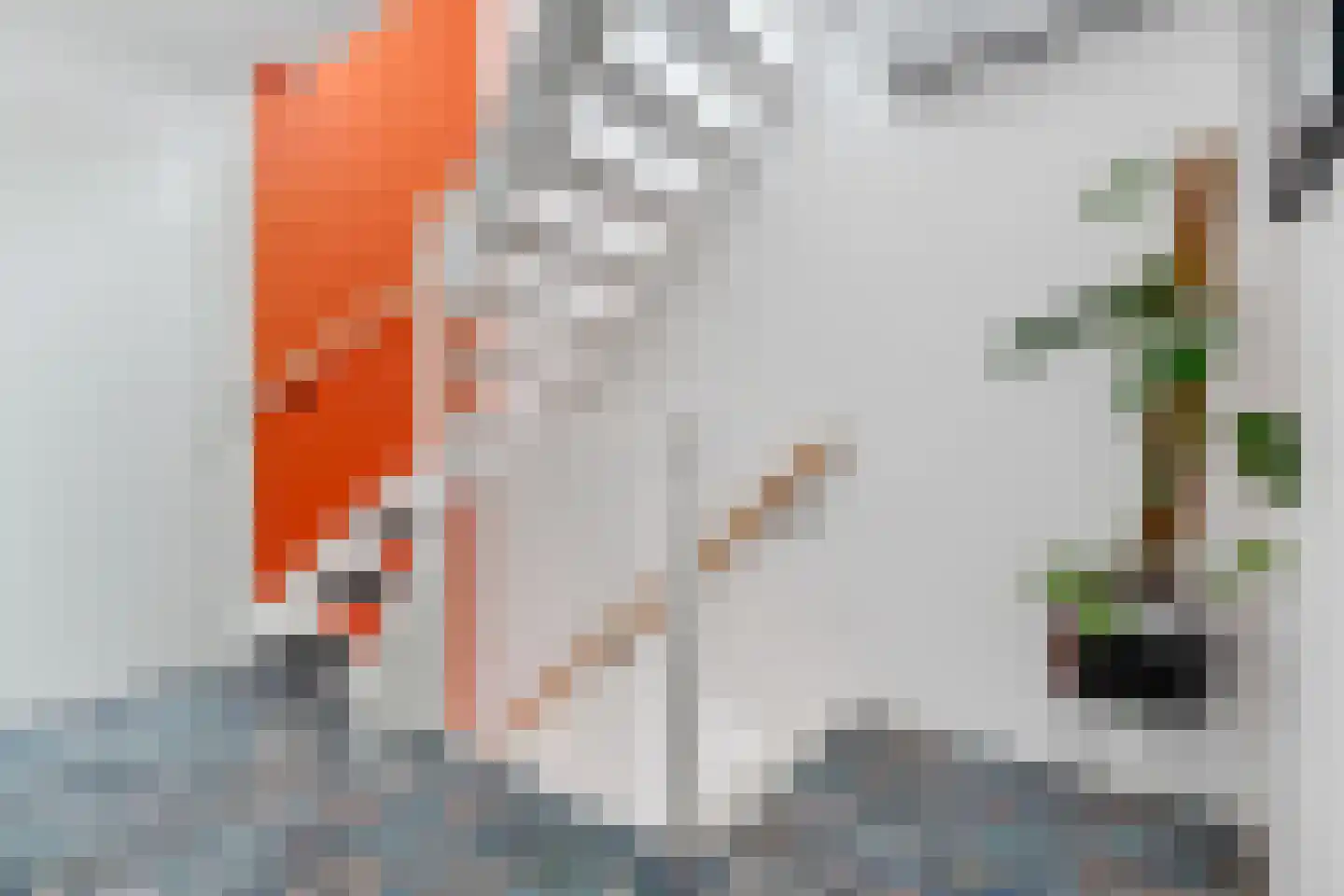 Schurinksweg 17 Enschede thumbnail 24
