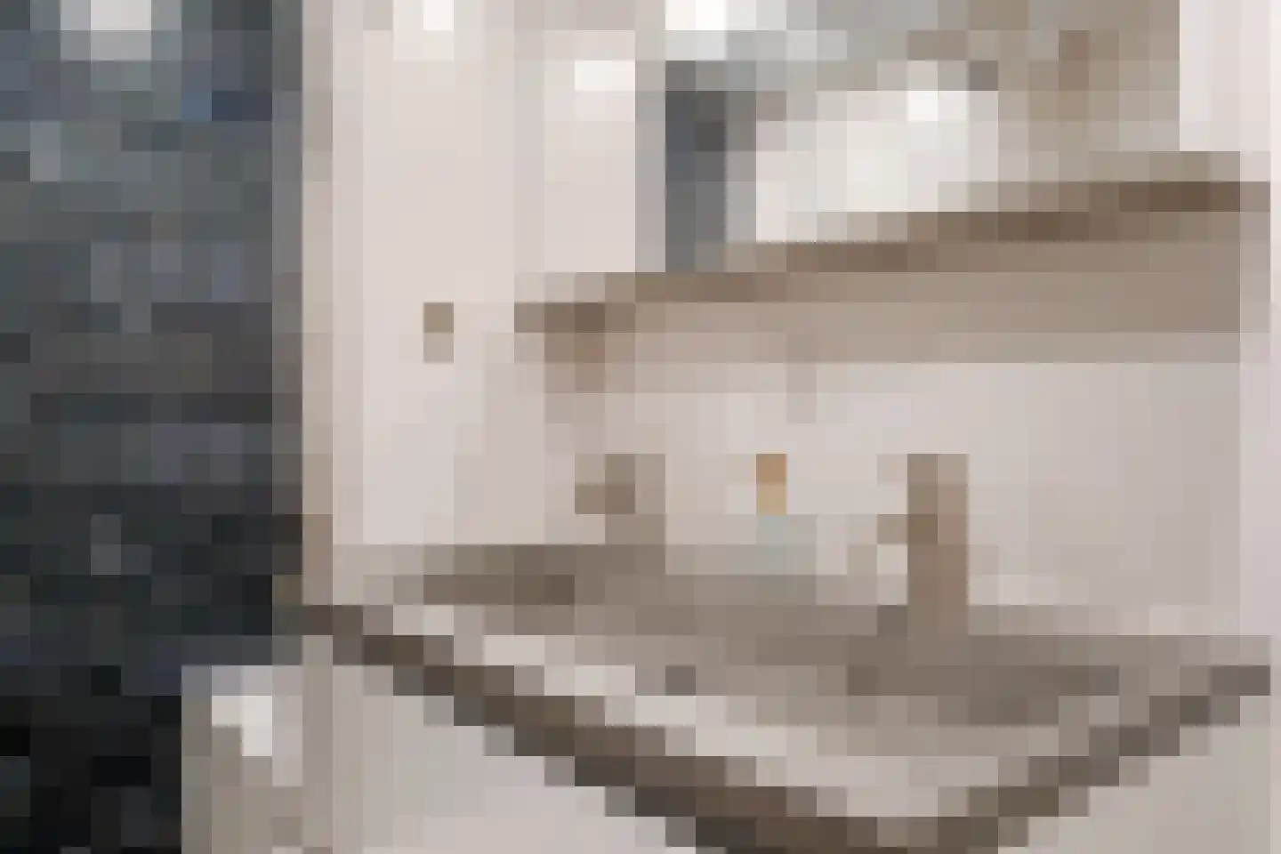 Schurinksweg 17 Enschede thumbnail 28
