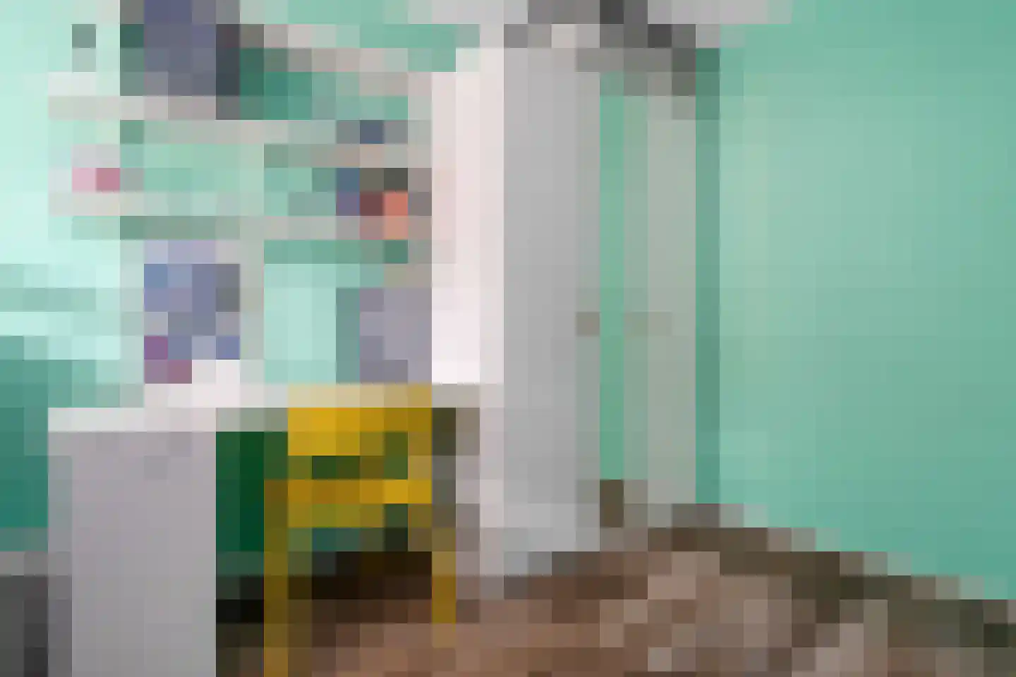 Schurinksweg 17 Enschede thumbnail 31