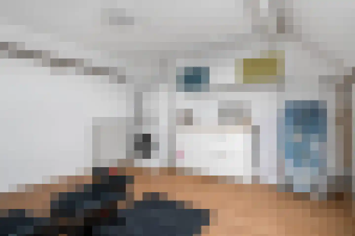 Schurinksweg 17 Enschede thumbnail 34