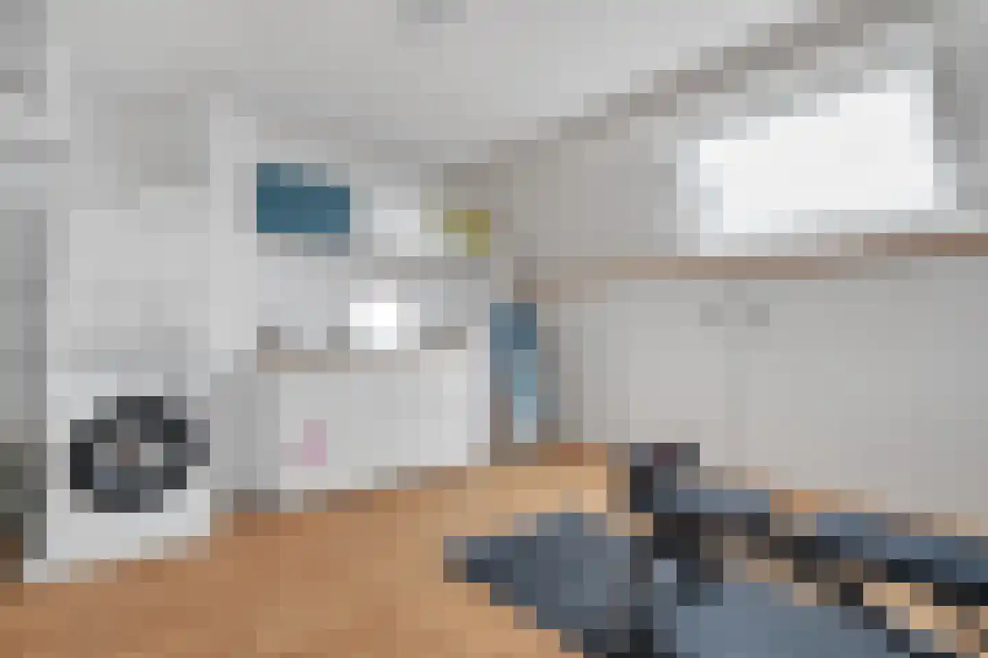 Schurinksweg 17 Enschede thumbnail 35