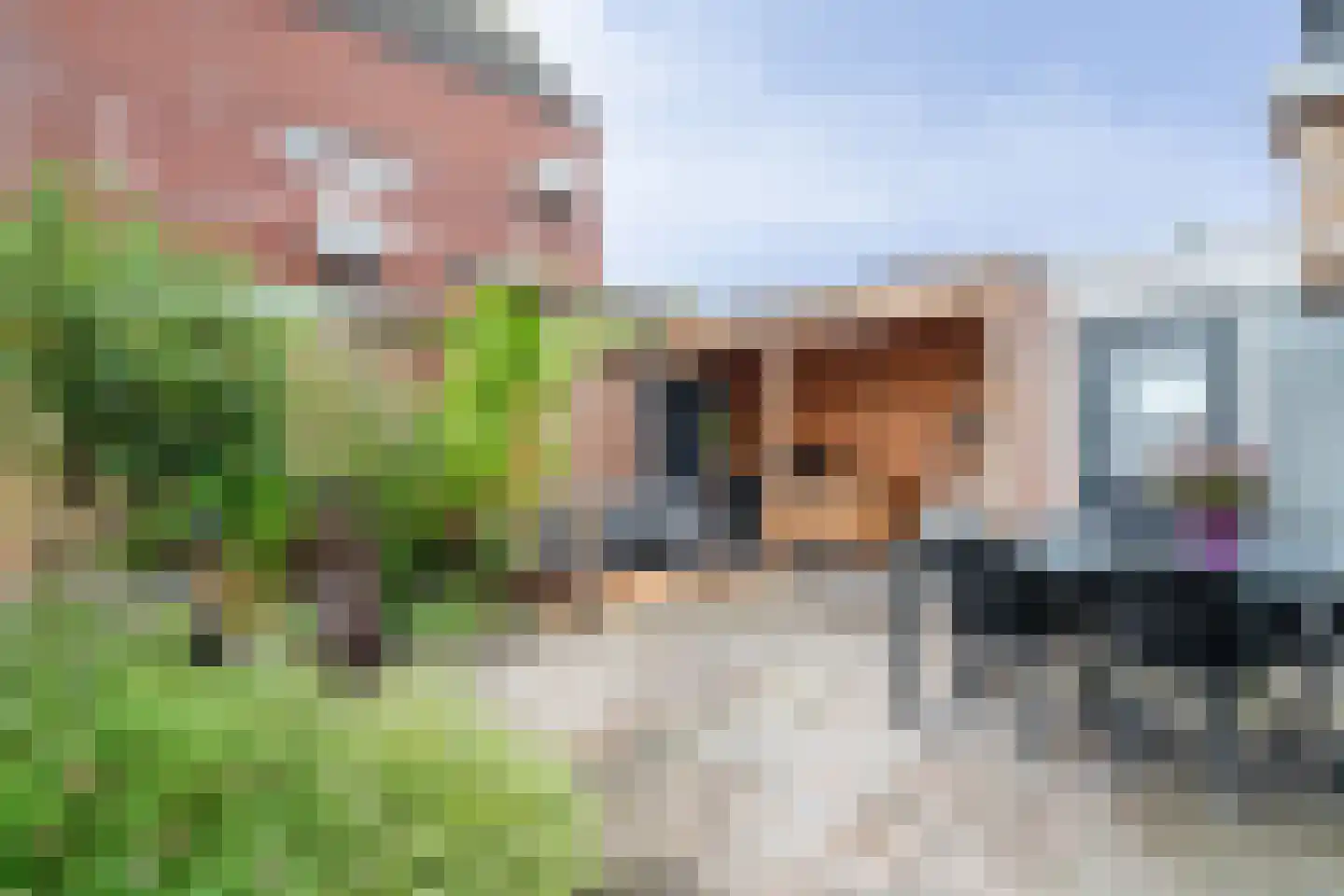Schurinksweg 17 Enschede thumbnail 40