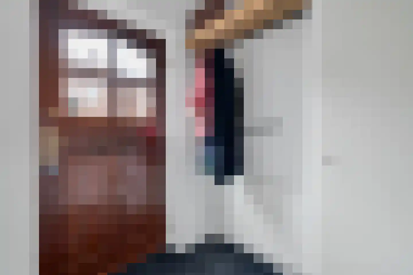 Schurinksweg 17 Enschede thumbnail 7