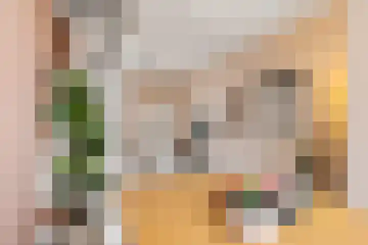 Schurinksweg 50 Enschede thumbnail 10