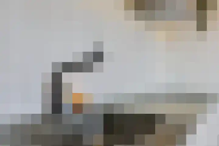 Schurinksweg 50 Enschede thumbnail 20