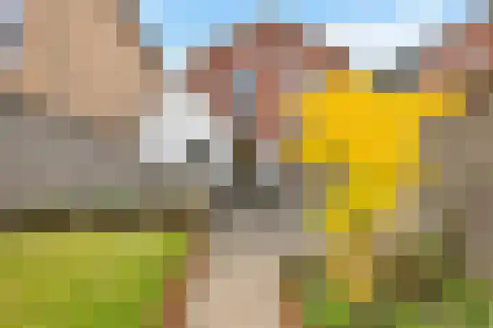 Schurinksweg 50 Enschede thumbnail 39