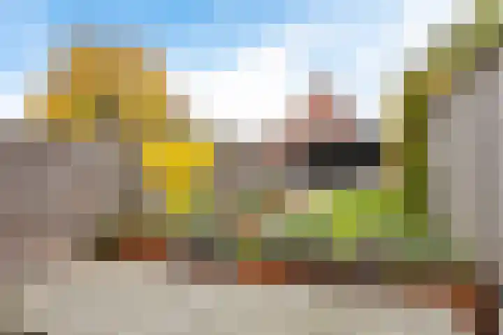 Schurinksweg 50 Enschede thumbnail 4