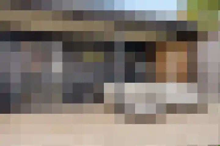 Schurinksweg 50 Enschede thumbnail 43