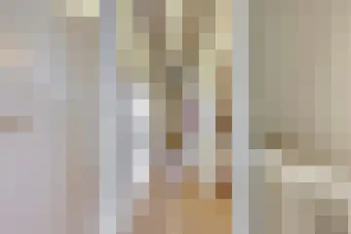 Schurinksweg 61 Enschede thumbnail 18