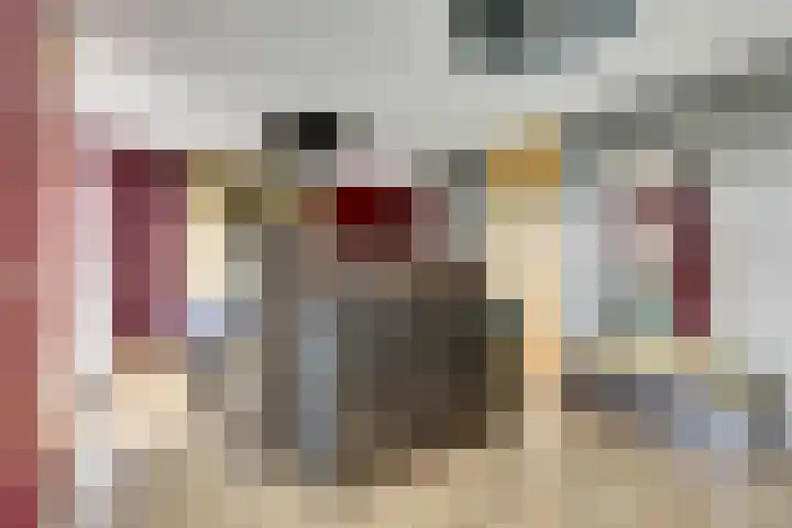 Schurinksweg 61 Enschede thumbnail 19