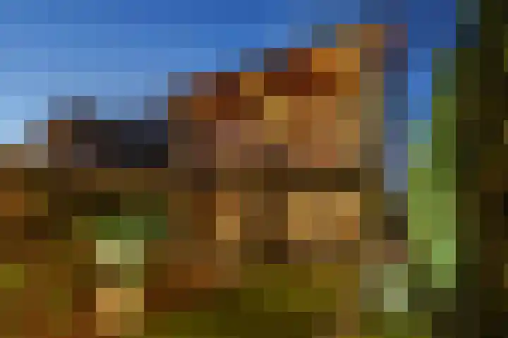 Schurinksweg 61 Enschede thumbnail 32