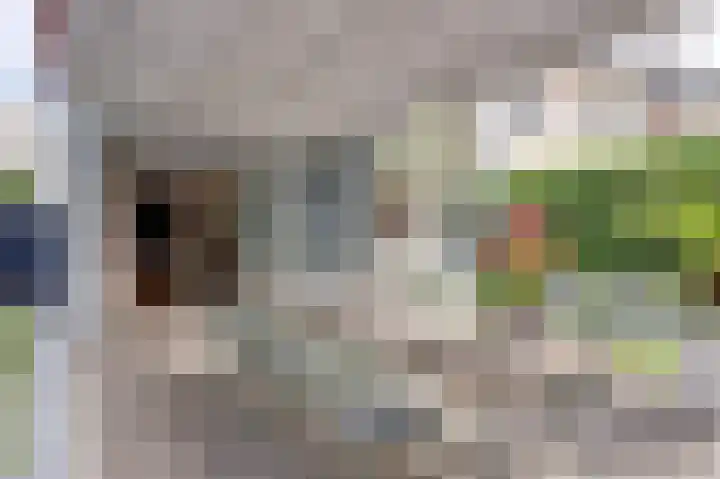 Schurinksweg 61 Enschede thumbnail 36