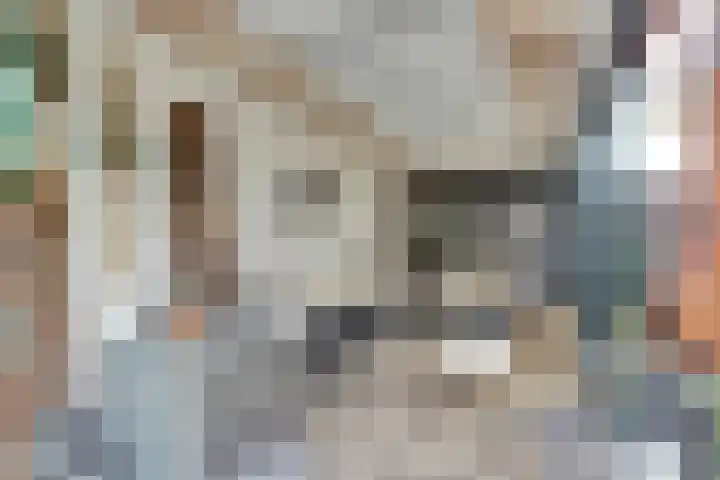 Schurinksweg 61 Enschede thumbnail 37