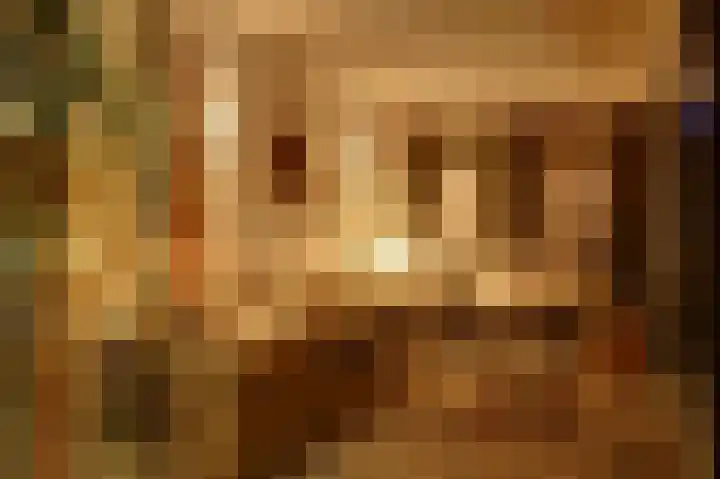 Schurinksweg 61 Enschede thumbnail 38