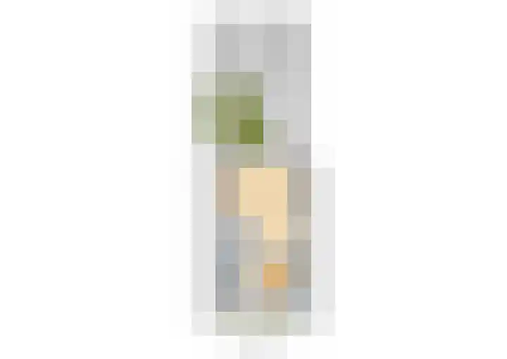 Schurinksweg 61 Enschede thumbnail 54