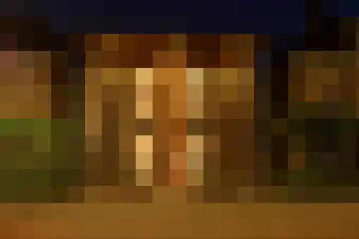 Schurinksweg 61 Enschede thumbnail 6