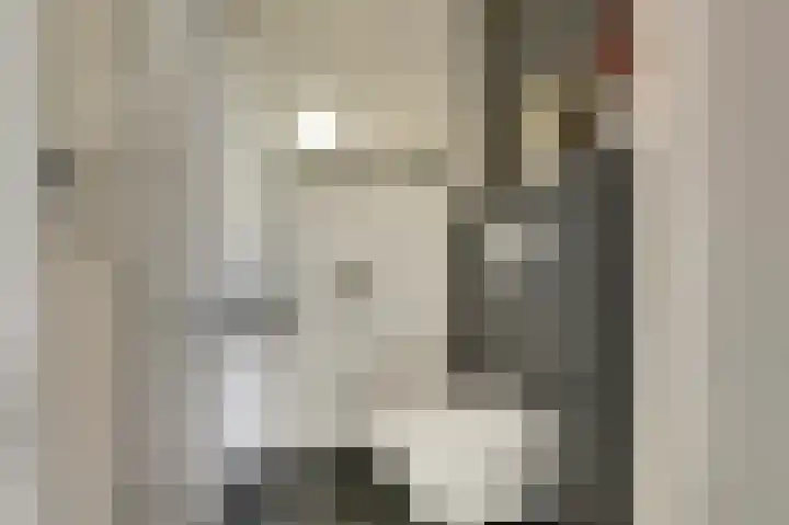 Schurinksweg 61 Enschede thumbnail 8