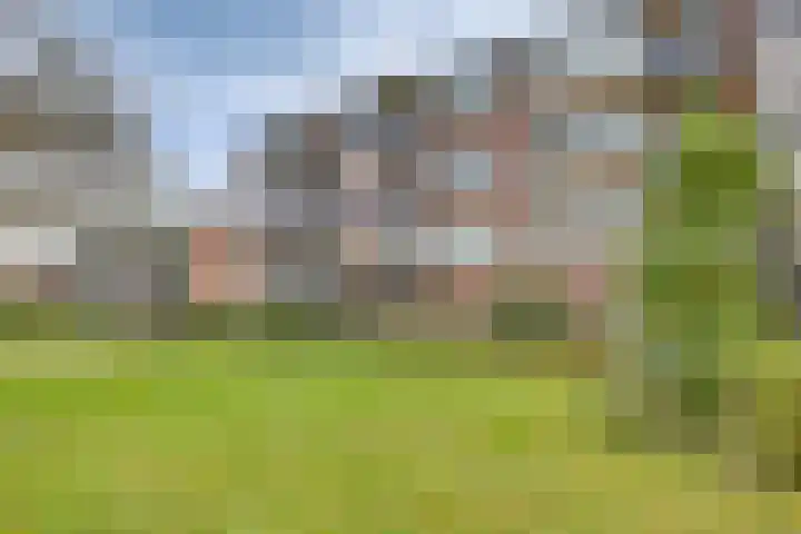 Schutkenstraat 40 in Zwolle