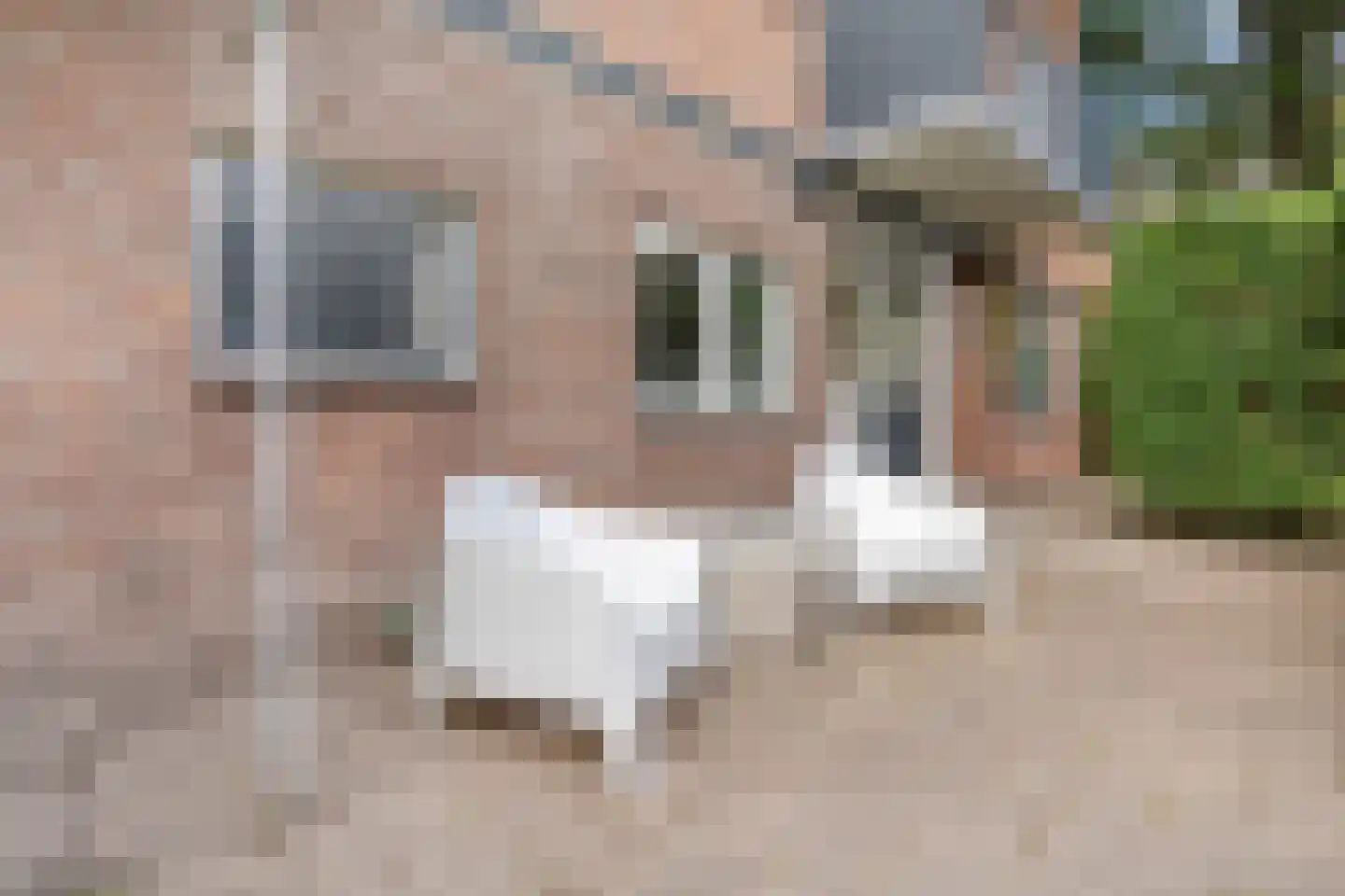 Schutkenstraat 49 Zwolle thumbnail 28