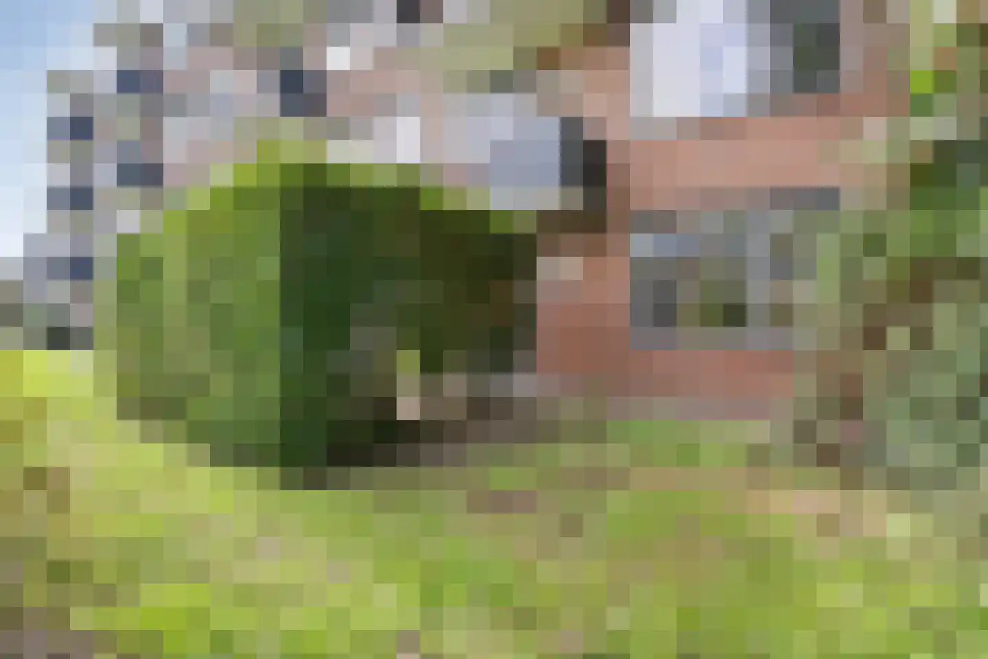 Schutkenstraat 49 Zwolle thumbnail 29