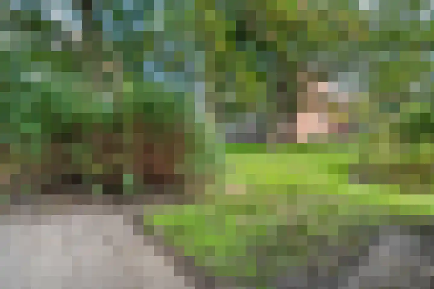 Schutkenstraat 49 Zwolle thumbnail 30