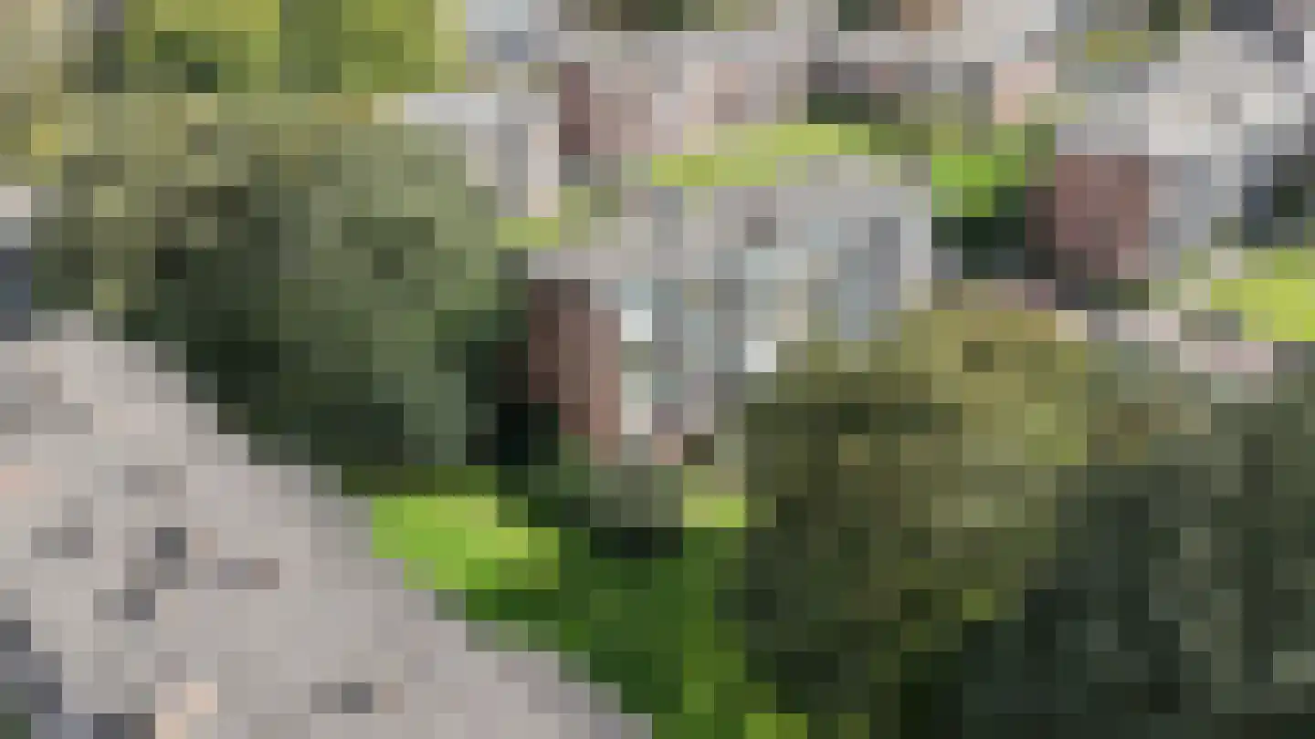 Schutkenstraat 49 Zwolle thumbnail 36