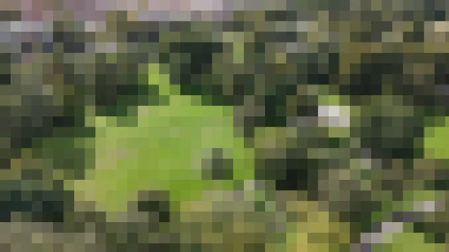 Schutkenstraat 49 Zwolle thumbnail 39