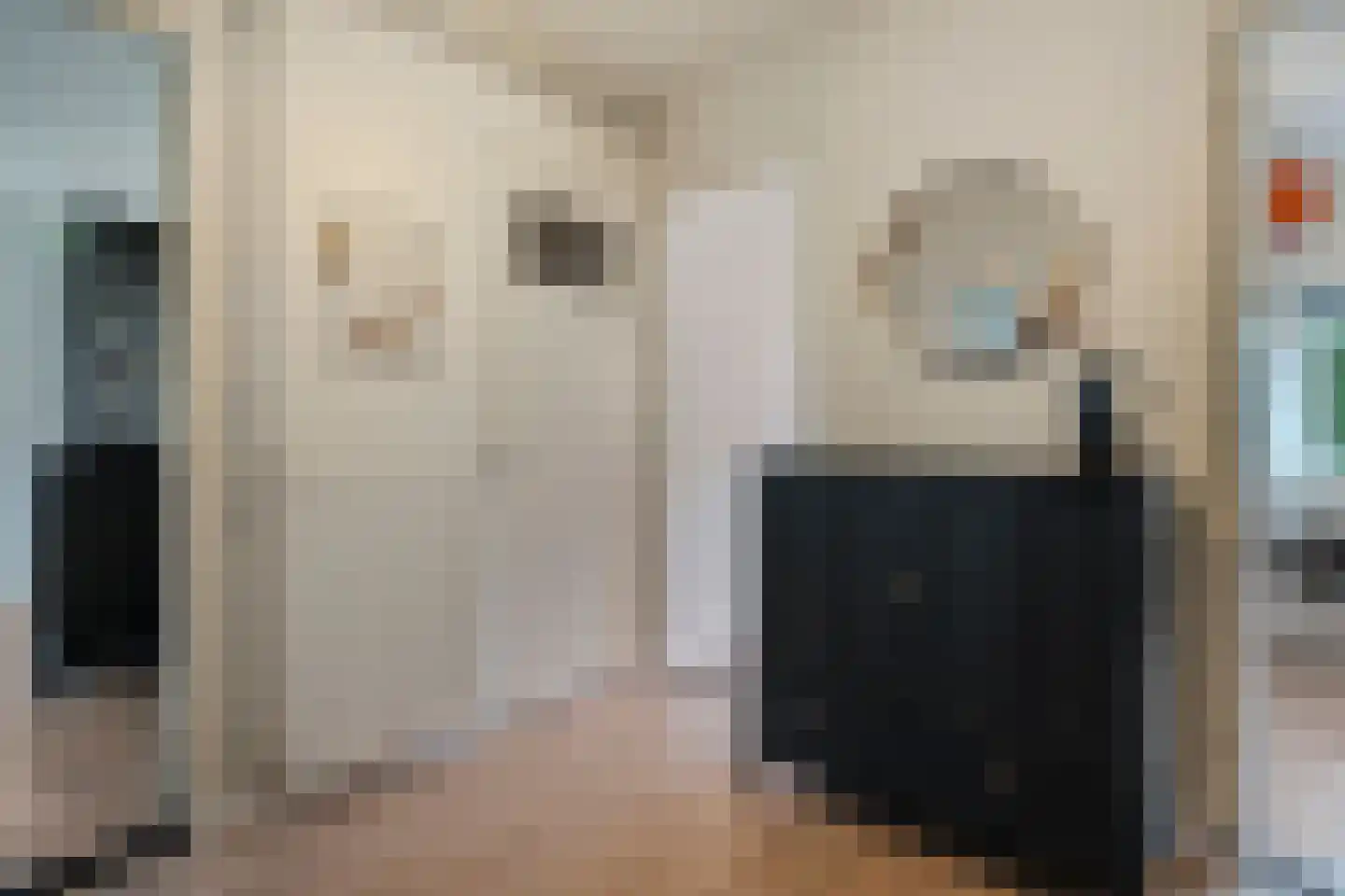 Schutkenstraat 49 Zwolle thumbnail 7