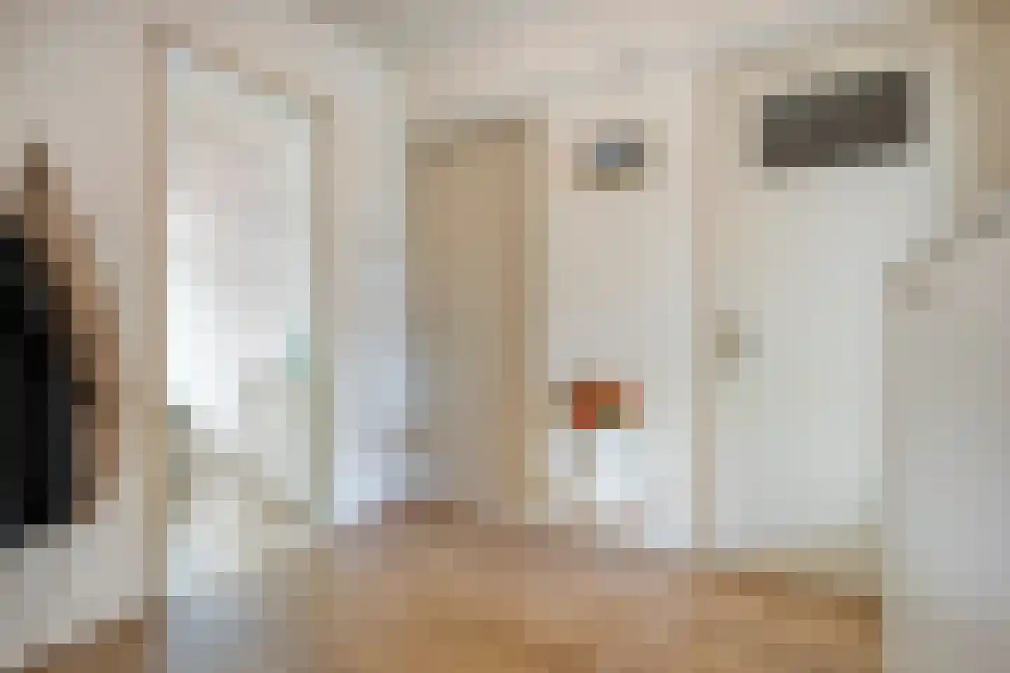 Schutkenstraat 51 Zwolle thumbnail 15