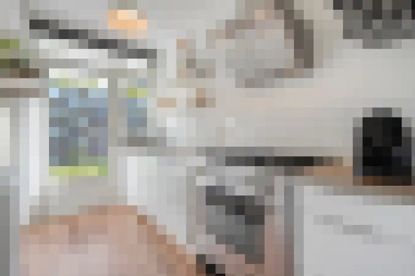 Schutkenstraat 51 Zwolle thumbnail 22